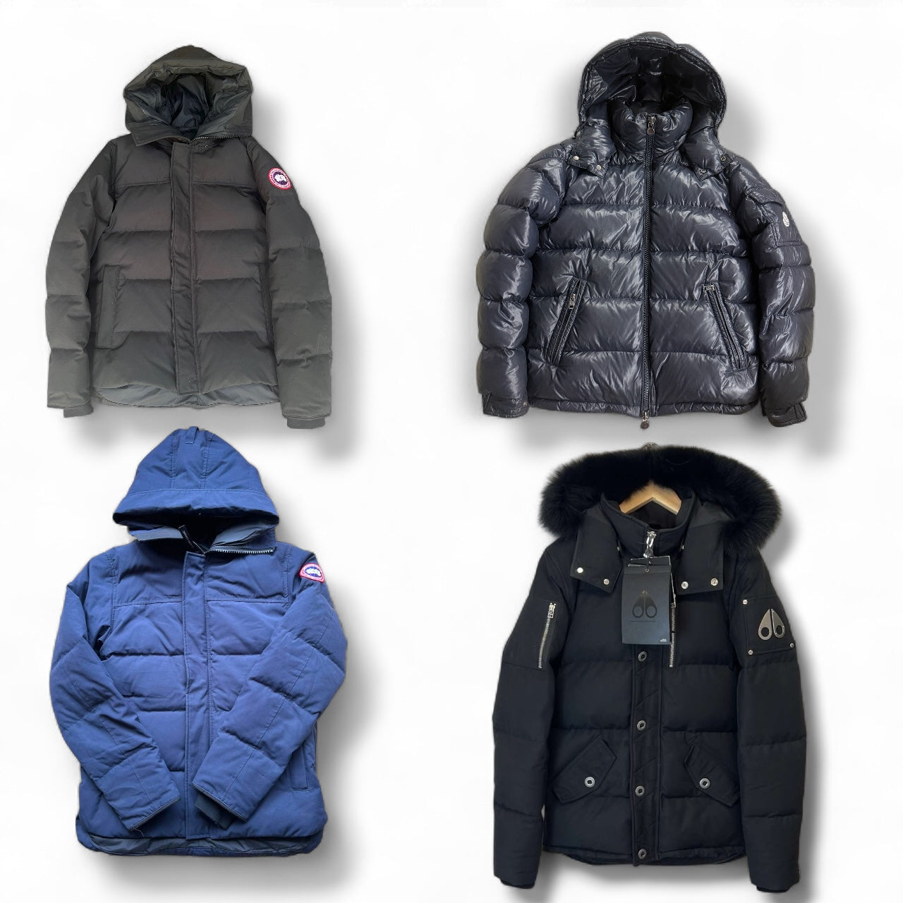 #1 Winter Jacket Suppliers